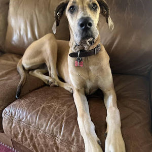 Meet your Posher, Jay